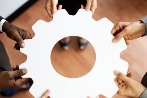 capacity building—Q Worth Consulting